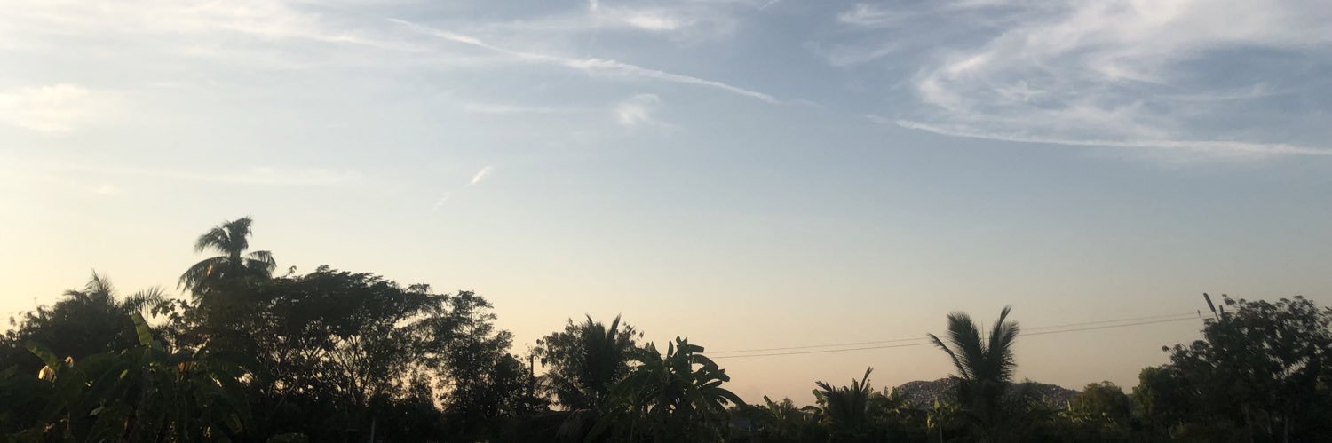 pp // banner