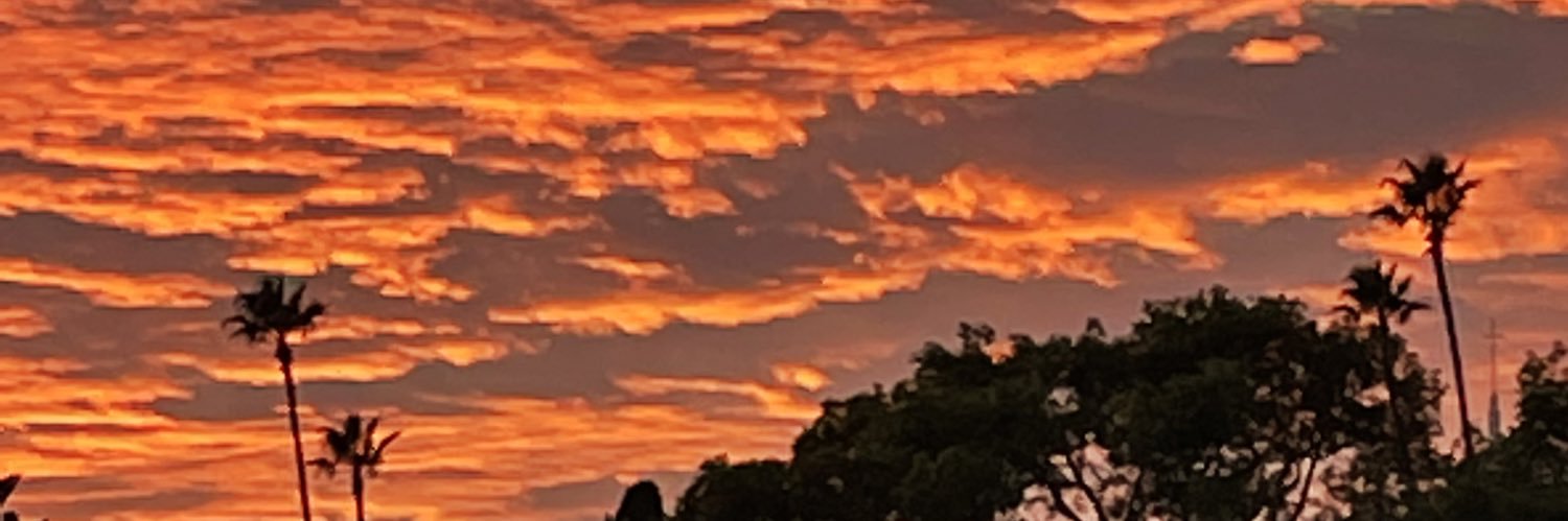 allyfletch's profile banner image