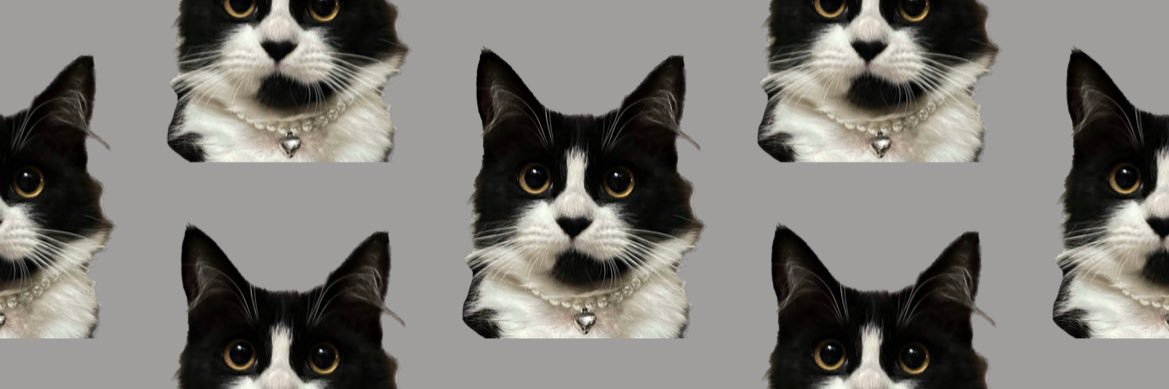 vinilav_'s profile banner image