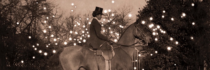 amyquerin's profile banner image