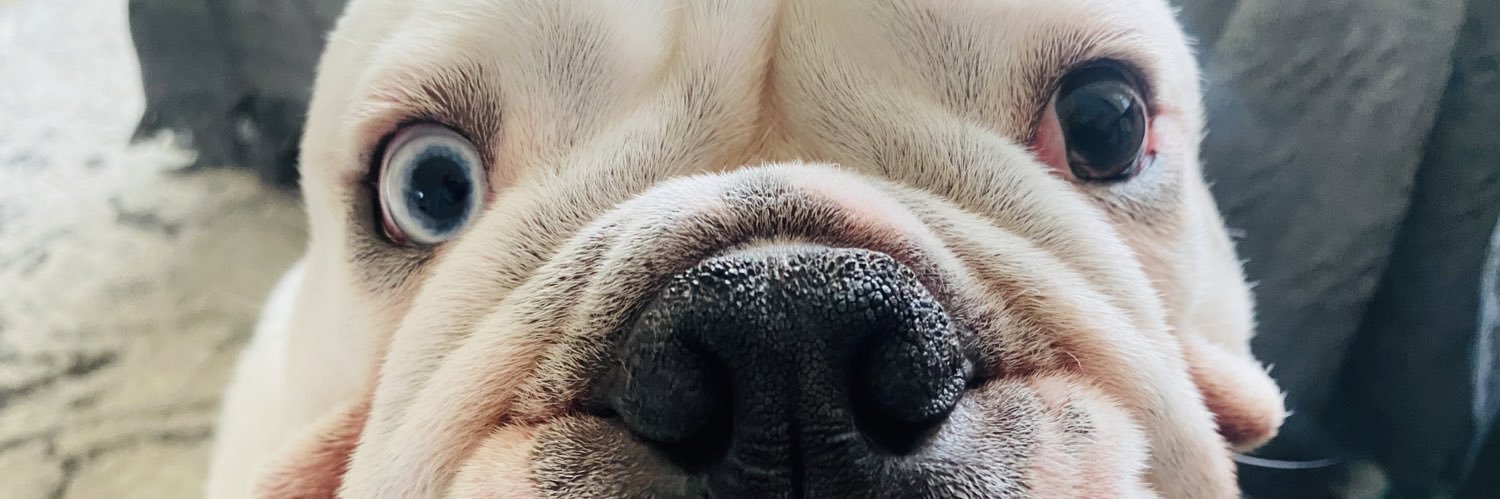 juliewholu's profile banner image