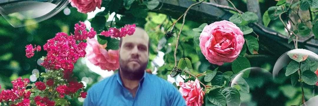 HanyroseR's profile banner image