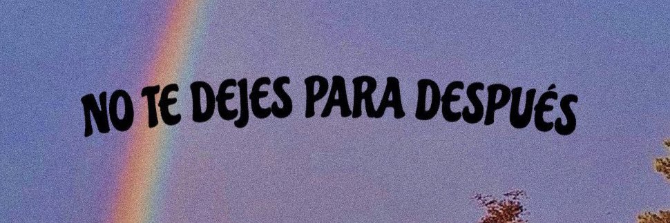 Luis Alvarez banner