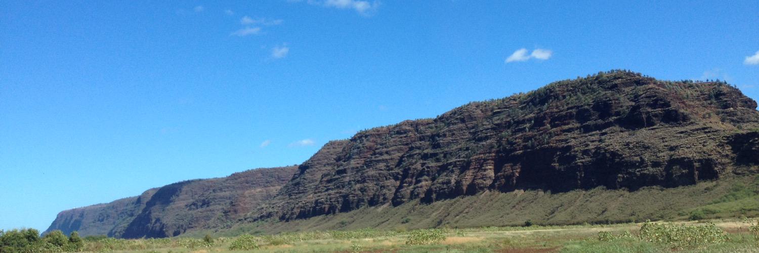 Leandro Andrade banner