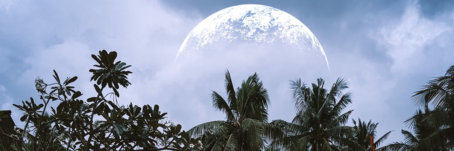 translaticlab's profile banner image