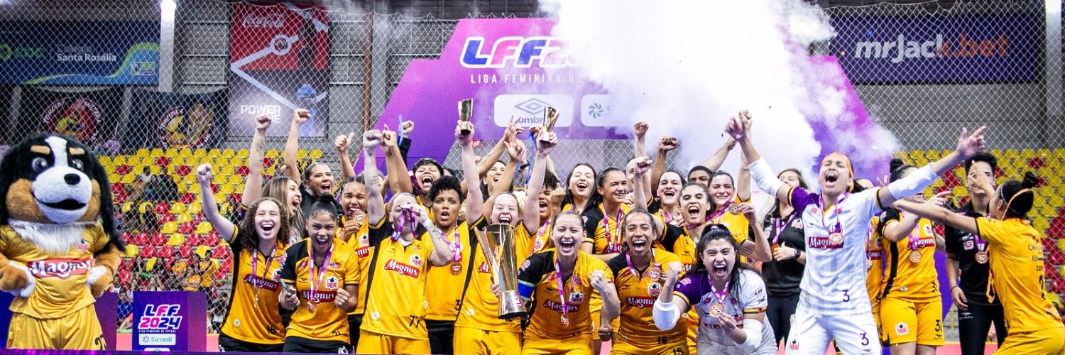 Liga Feminina de Futsal banner
