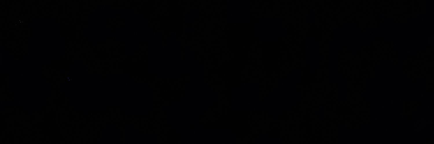 paris banner