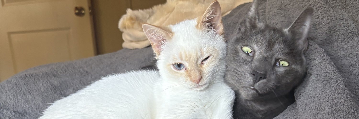 phil and rufus (party hat and party favor) banner