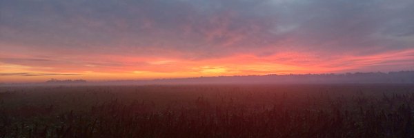 Rtoipb Profile Banner