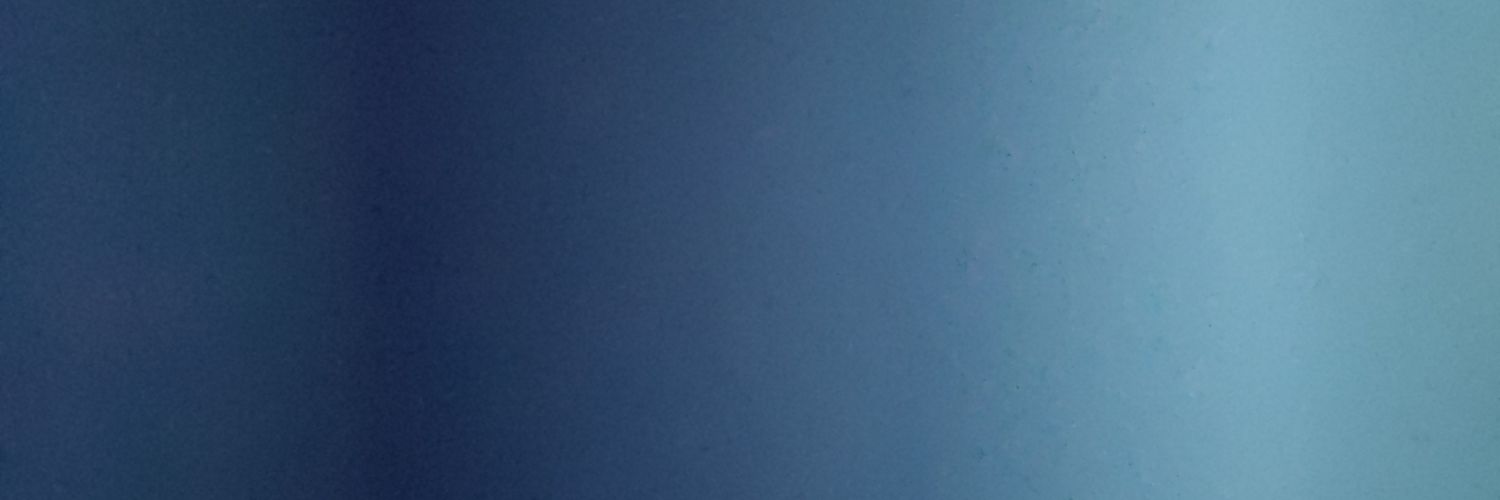 andrew jackson banner