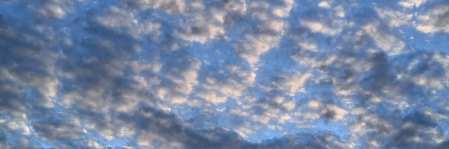 _brenv's profile banner image