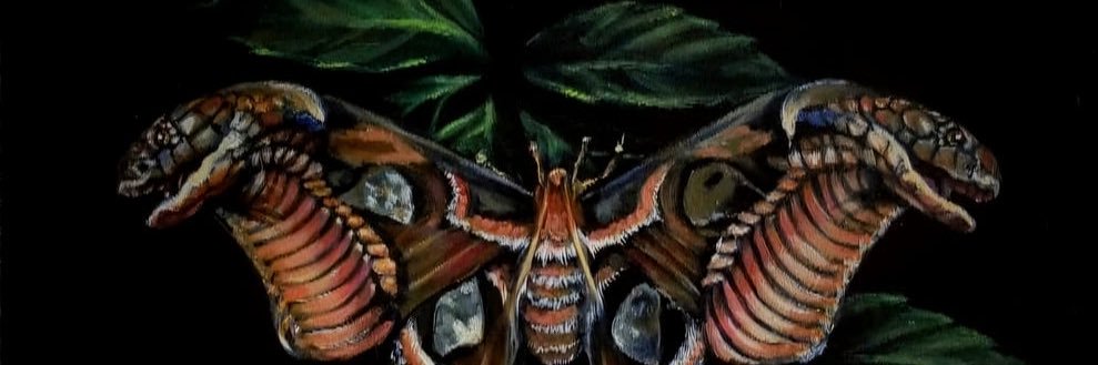 GhostGallery's profile banner image