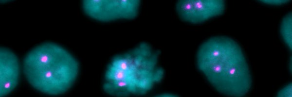 GodekLab Profile Banner