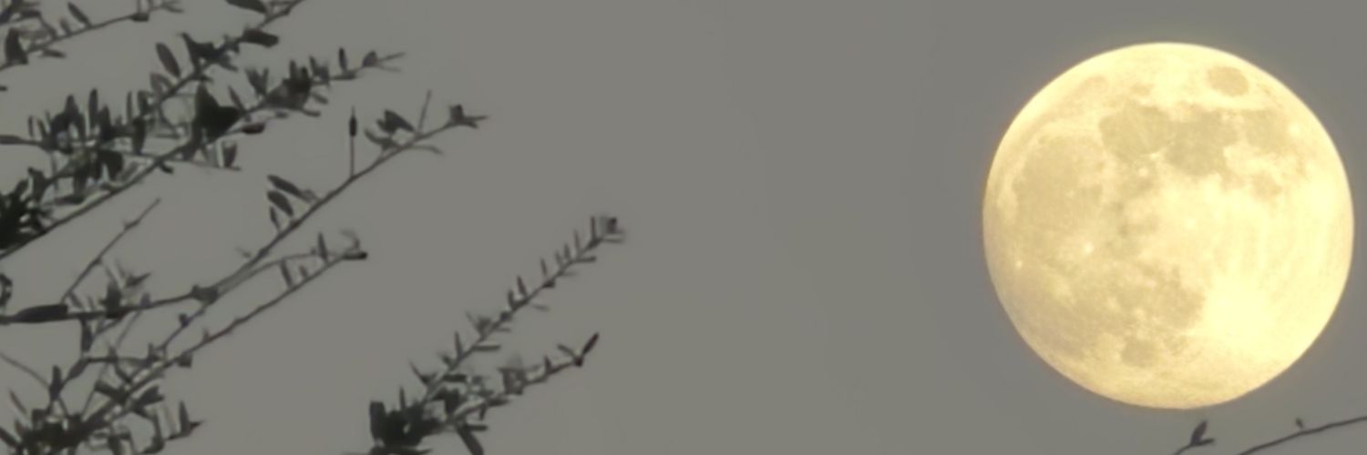 SabrinaCButler2's profile banner image