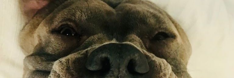 Gabrielazbm's profile banner image