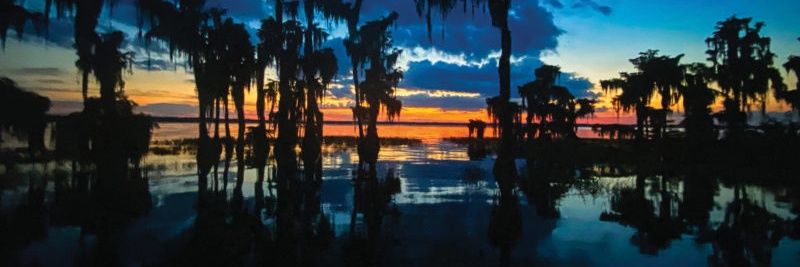MsAlachuaCounty's profile banner image