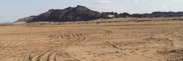palaeobeth Profile Banner