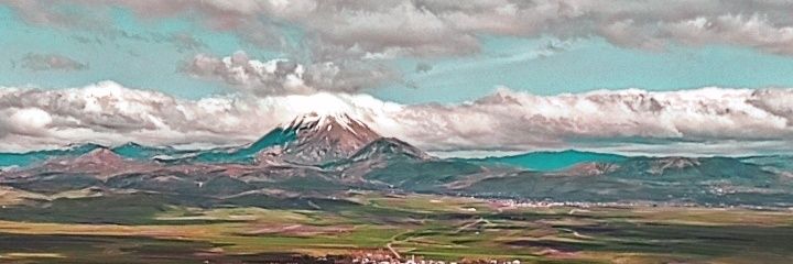 Reşit Dişçi banner