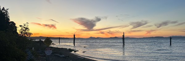 SuitSentient Profile Banner