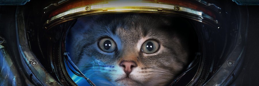Excalibruno banner