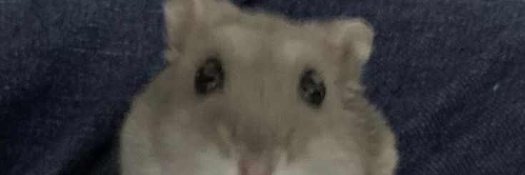 QueTi48's profile banner image