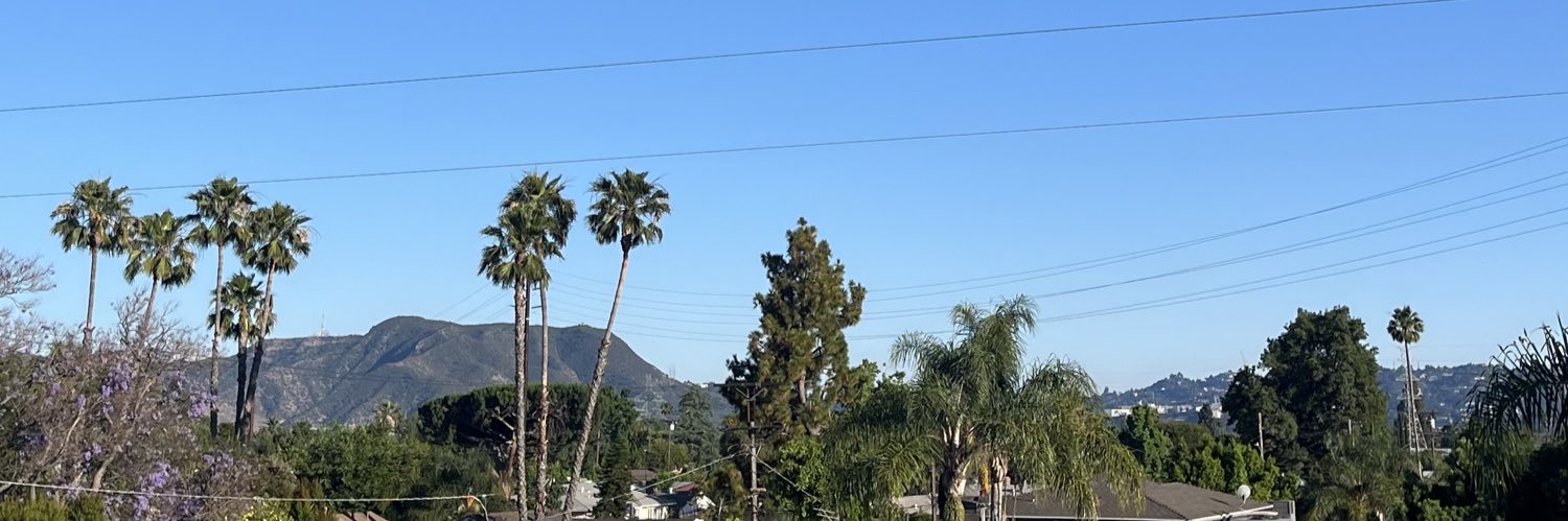 Allison McArthur banner