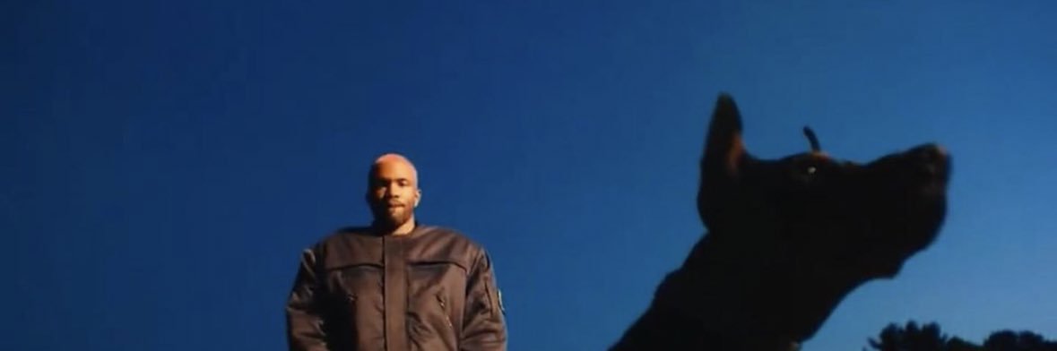Ivy 🅴 banner