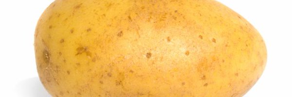 stochasticman99 Profile Banner