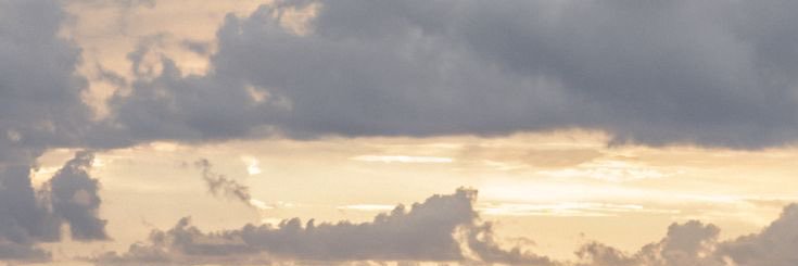 victoria's banner