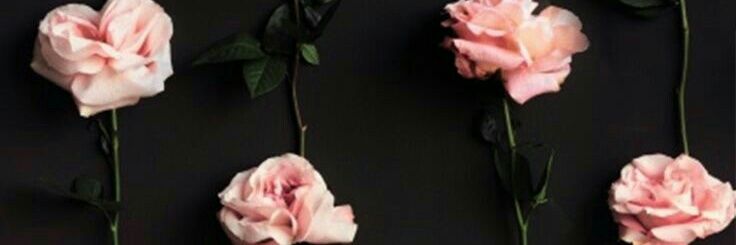 MariaMejias19's profile banner image