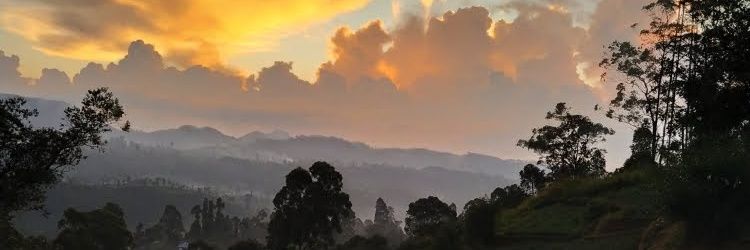 කන්ඩමාලේ🌸🌸 banner