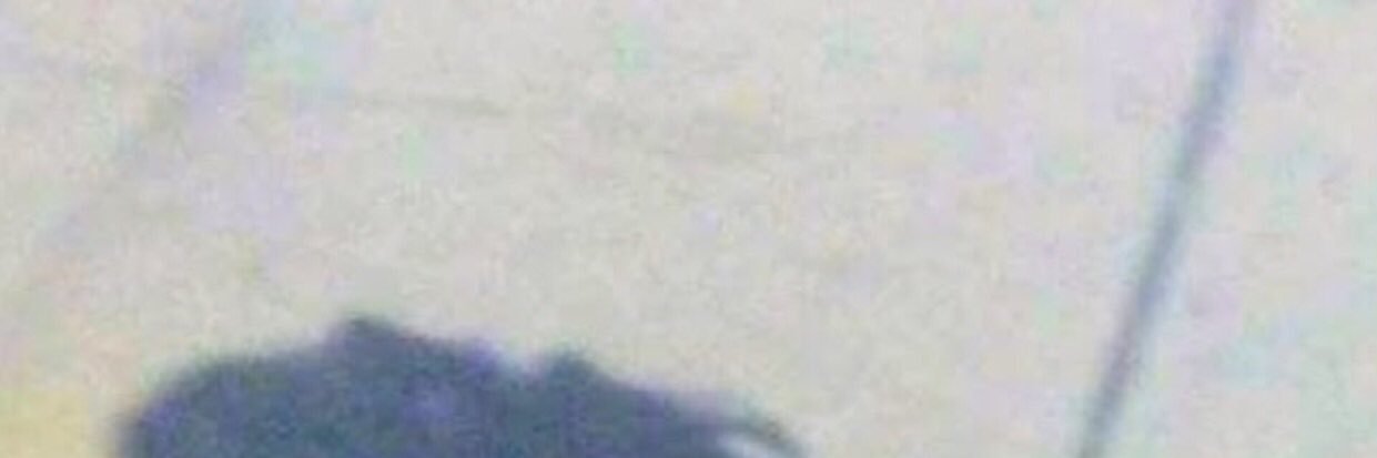 doeshtmskesense's profile banner image