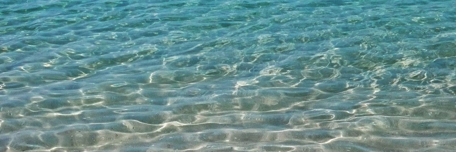 Isabel Miranda banner