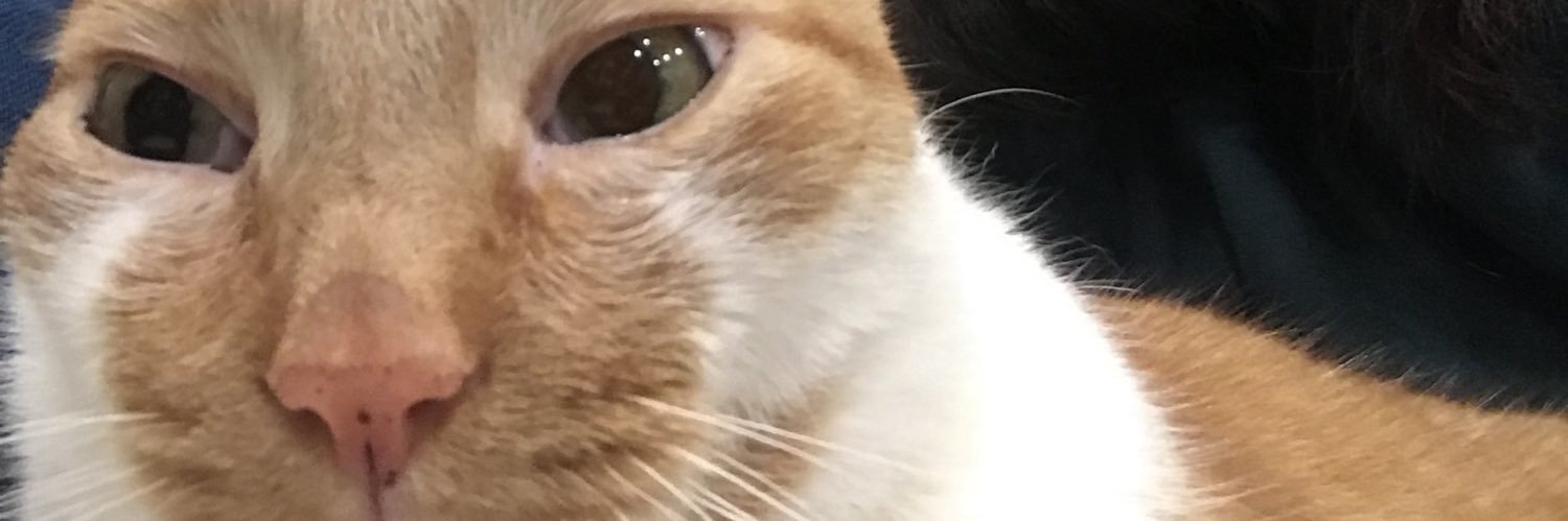 elujuh's profile banner image