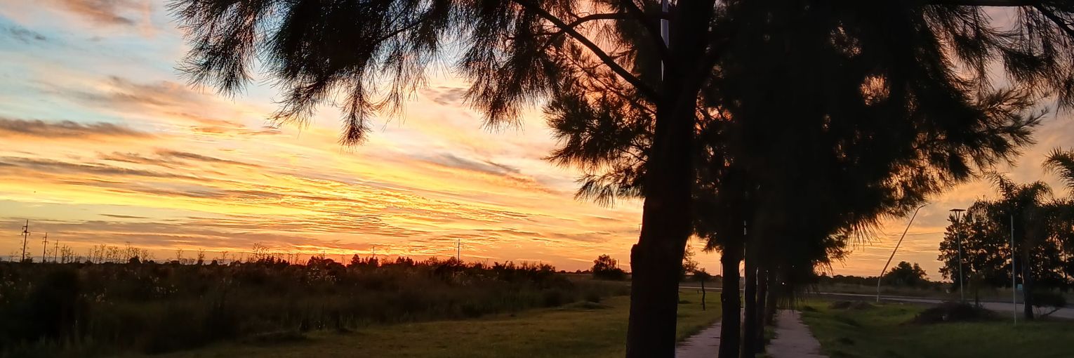 Moree01674478's profile banner image