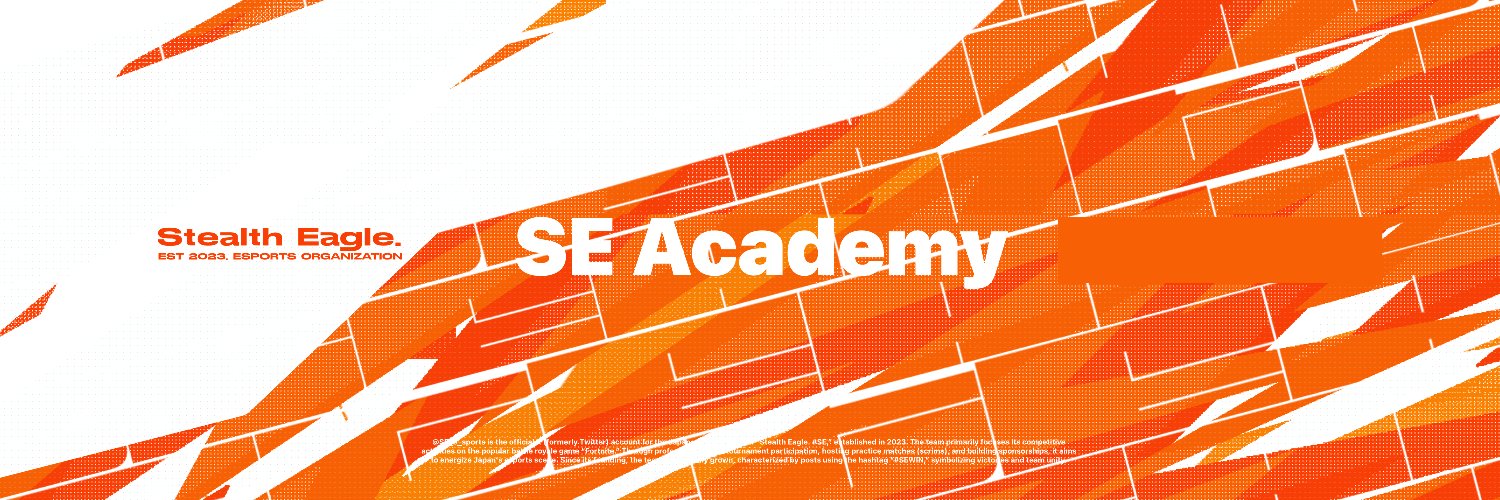 SE Academy #SE banner