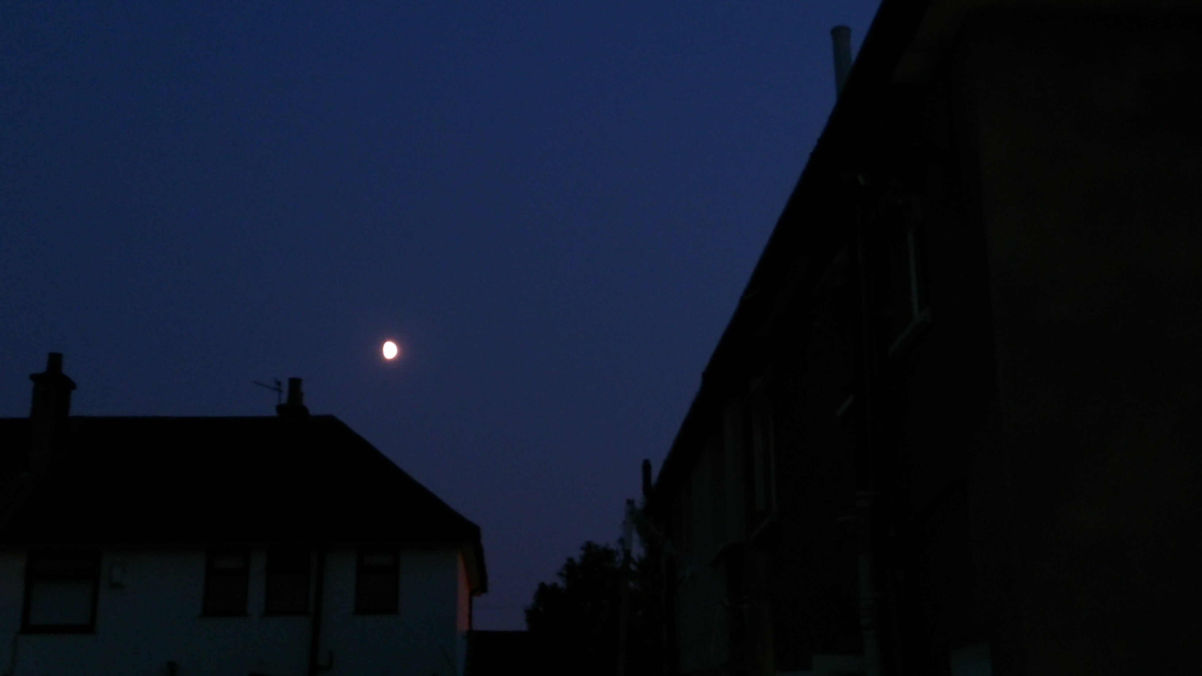 Steven Mercer banner