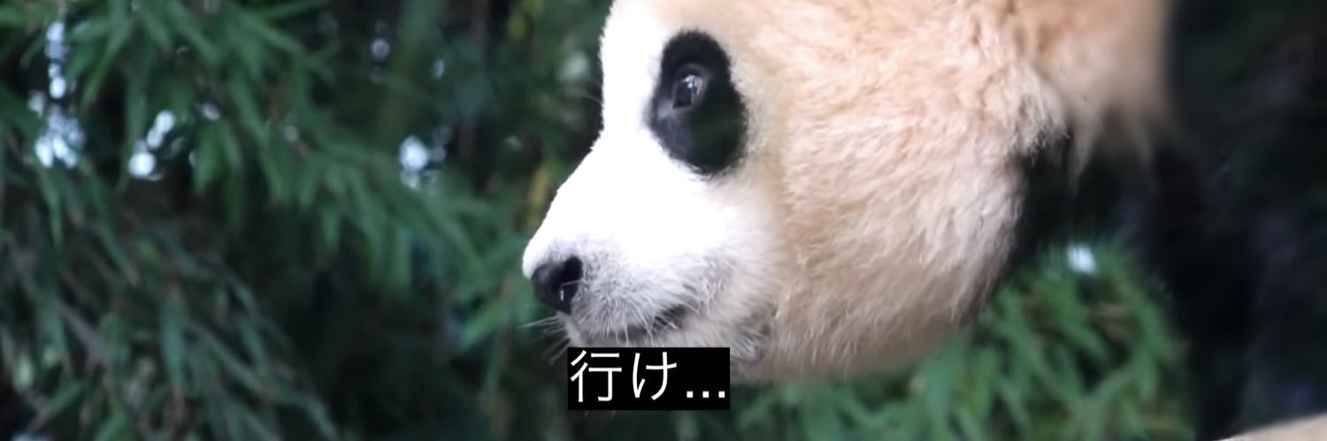 んちゃこ banner