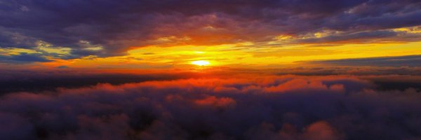 Ollyloo Profile Banner