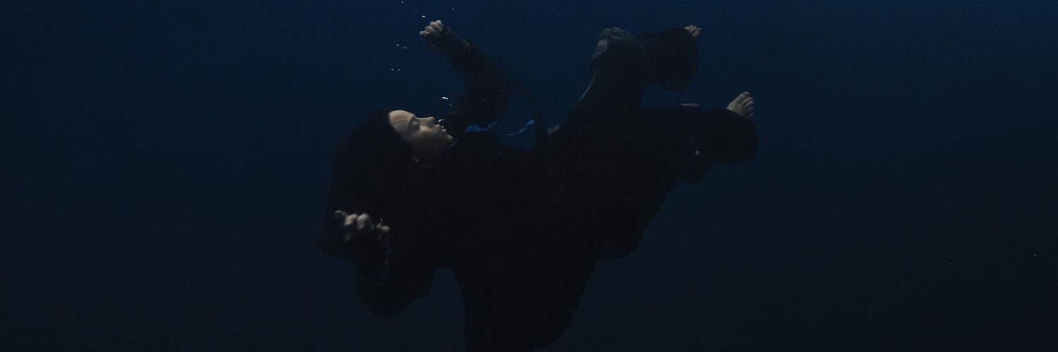 Billie Eilish Data's banner