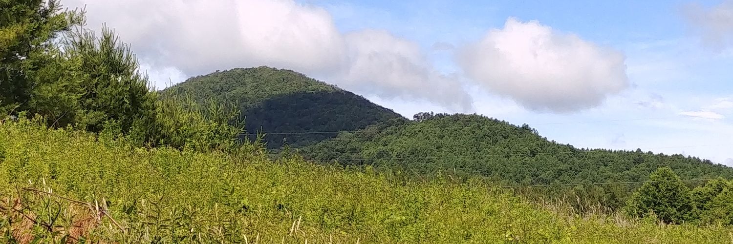 r_shipko's profile banner image