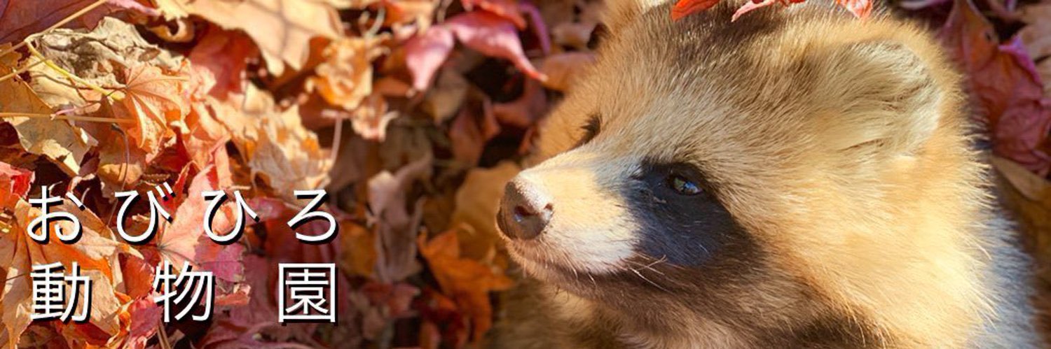 おびひろ動物園［公式］'s banner