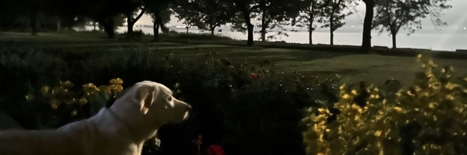 Lee_Emmert's profile banner image