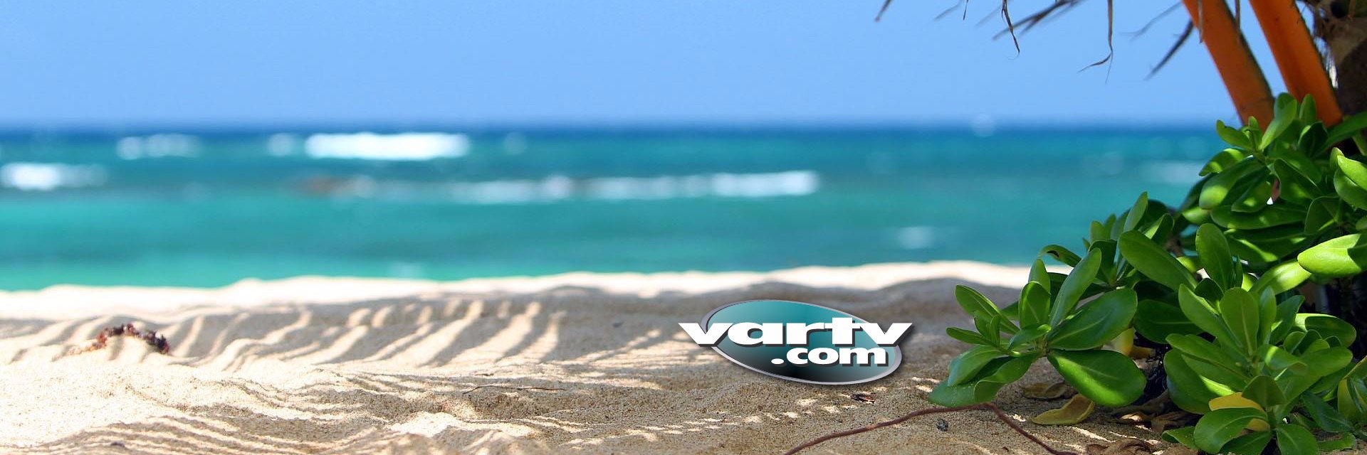Robert Corbin VARTV banner