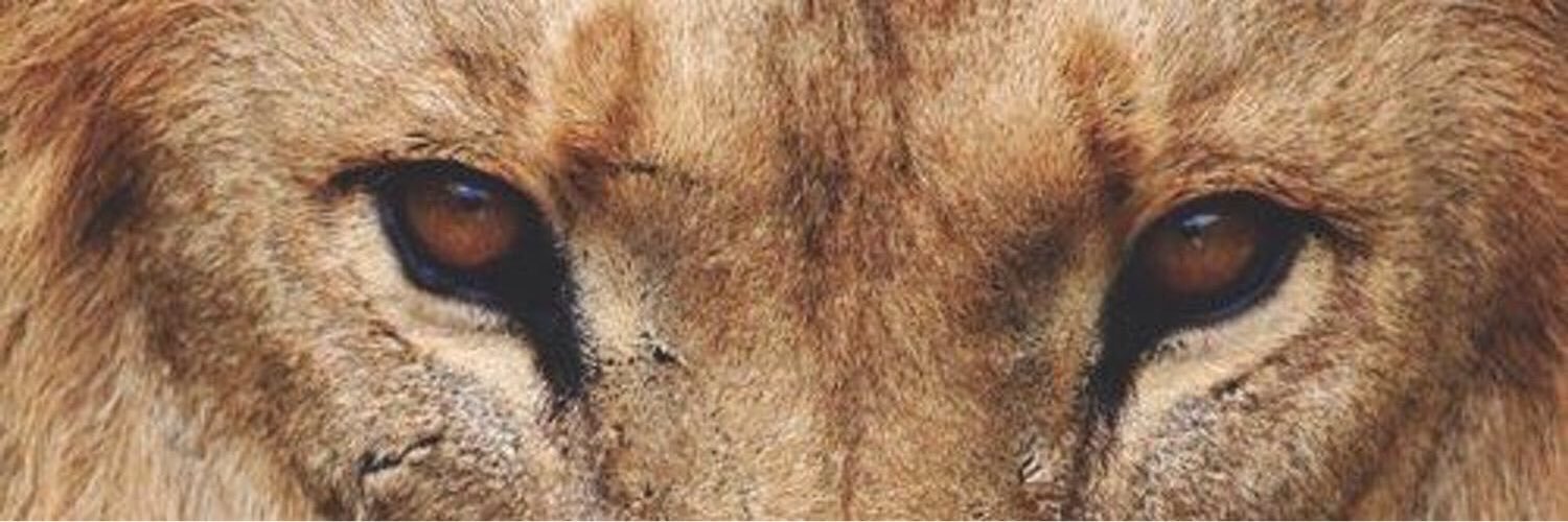 1Lxmar's profile banner image