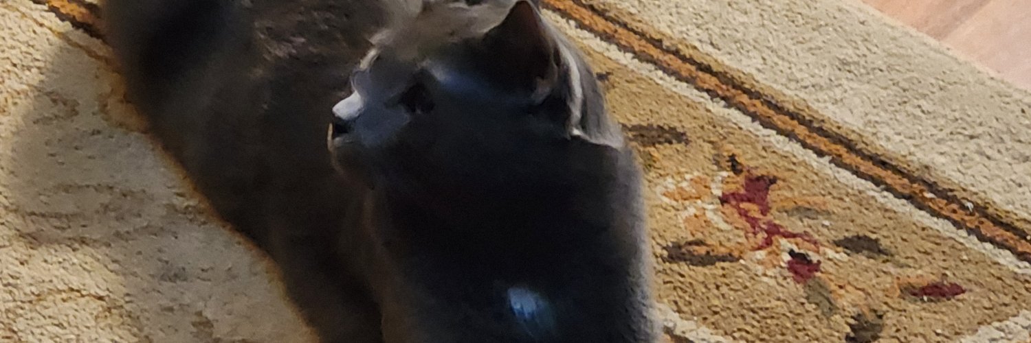 One nation 8.3 banner