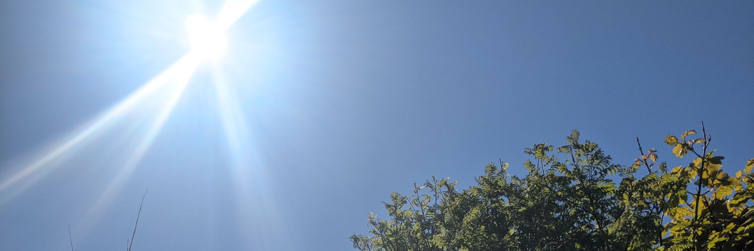mflogordon's profile banner image