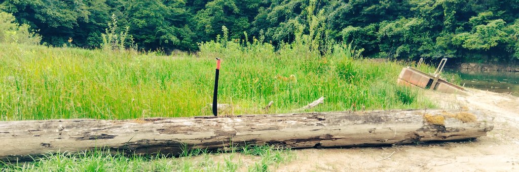 伊之助🌾 banner