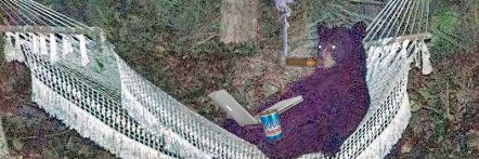 DougM 🇺🇸🚀 banner