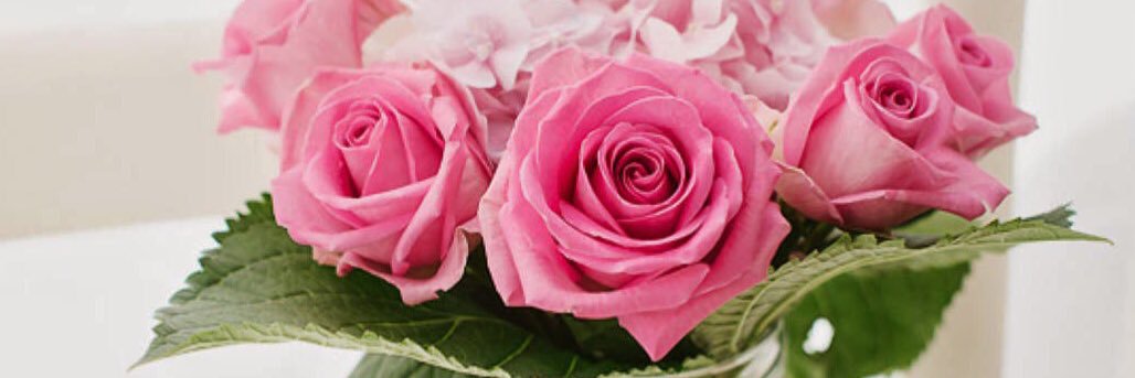 missmleanne's profile banner image